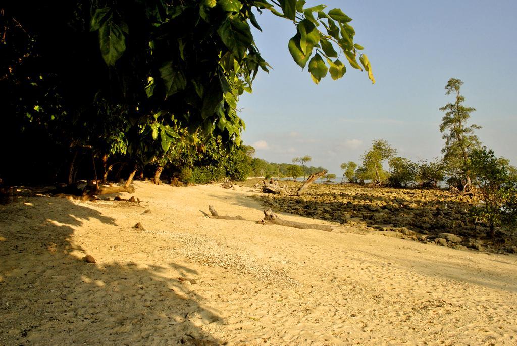 Sea Shell Neil Hotel Lakshmanpur Ngoại thất bức ảnh