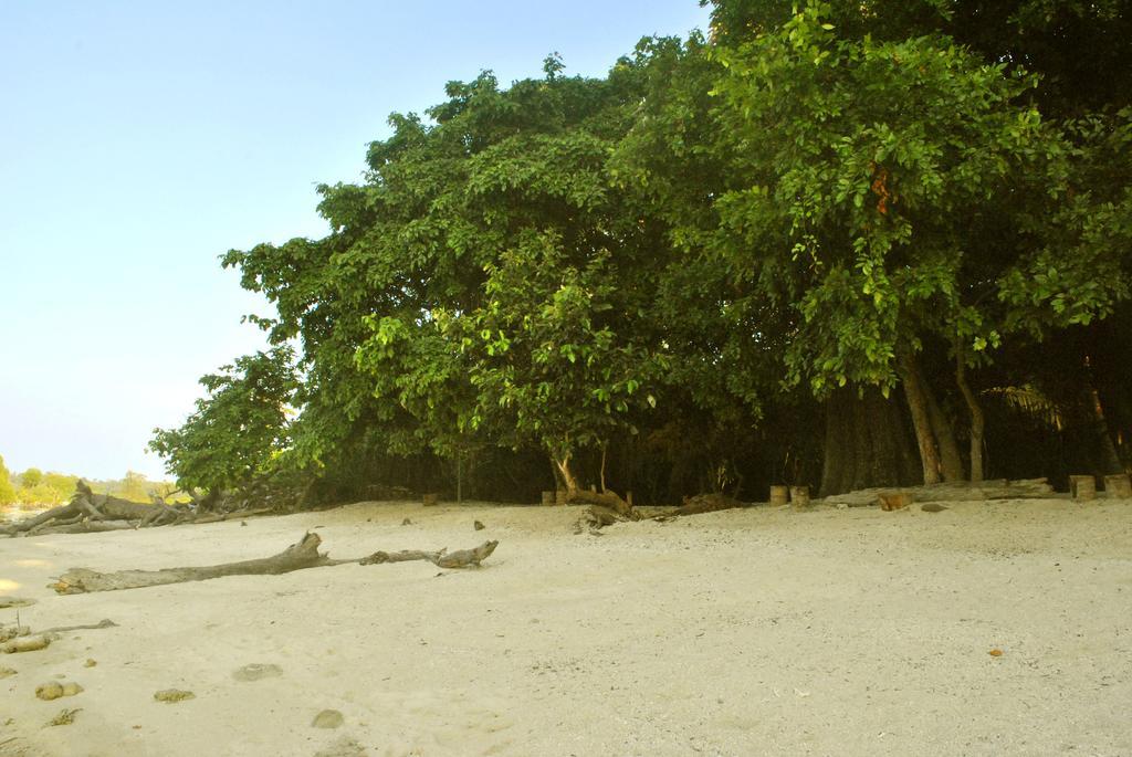 Sea Shell Neil Hotel Lakshmanpur Ngoại thất bức ảnh